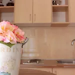 Affittacamere Rosa