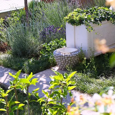 招待所 罗莎别墅旅馆 布罗达里卡