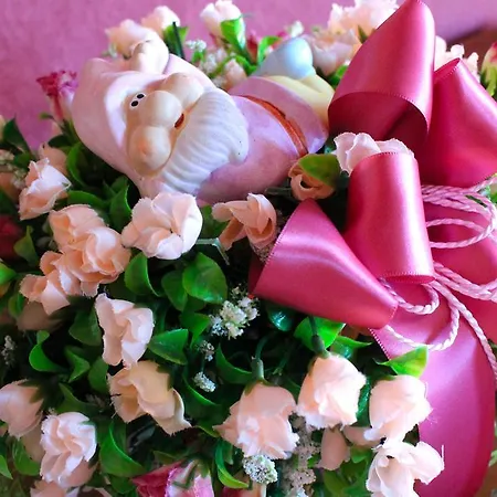 罗莎别墅旅馆 招待所 4*