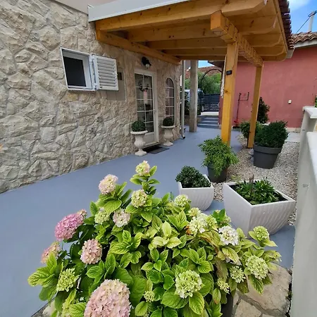 Rosa Guest house