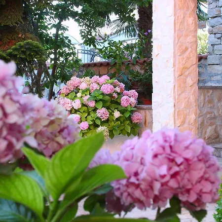 Pensionat Rosa 4*