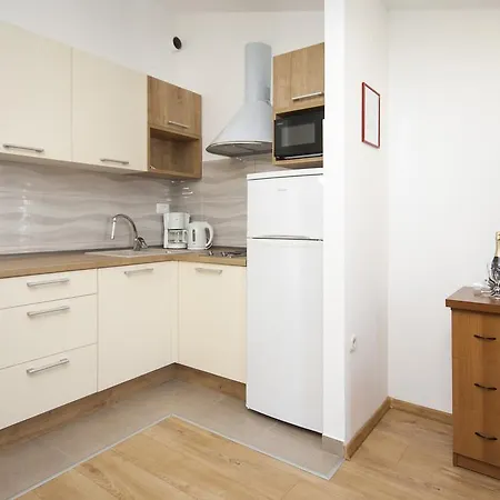 罗莎别墅旅馆 4* 布罗达里卡