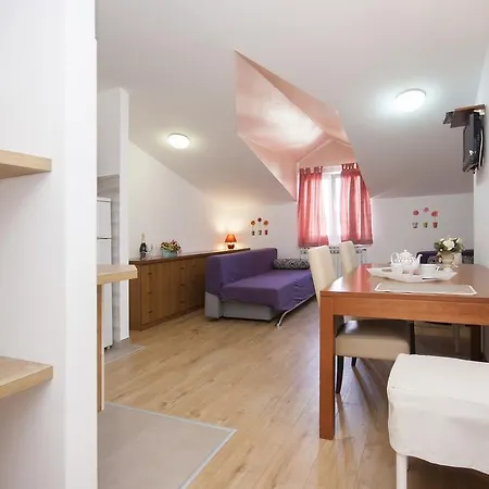 Guest house Rosa 4*