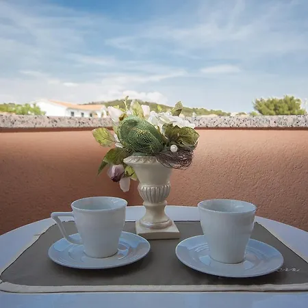 Rosa Guest house