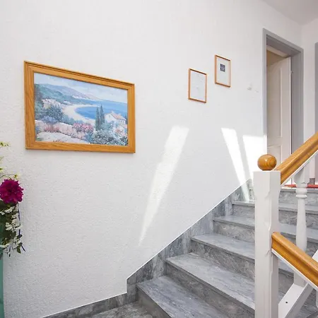 Guest house Rosa