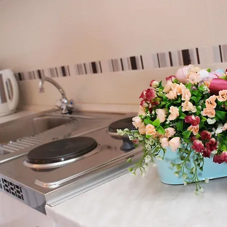 招待所 罗莎别墅旅馆 4*