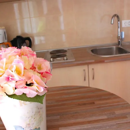 罗莎别墅旅馆 4*