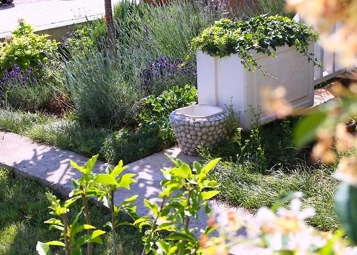 Guest house Rosa Brodarica (Sibenik-Knin)