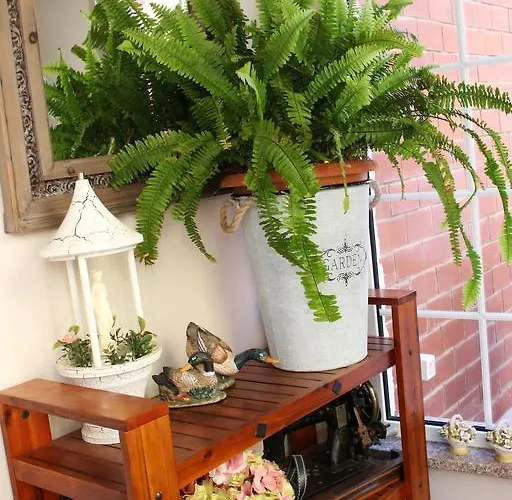 Rosa 4* Brodarica (Sibenik-Knin)