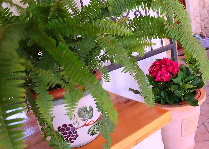 Rosa Guest house Brodarica (Sibenik-Knin)